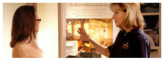 window treatments with blinds