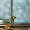 window blinds and shades